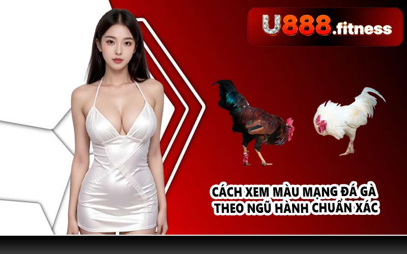 Cách xem màu mạng đá gà theo ngũ hành chuẩn xác