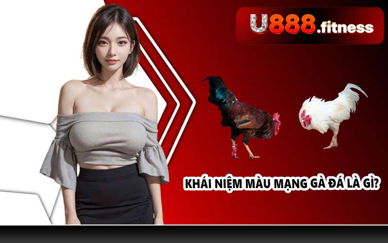 Khái niệm màu mạng gà đá là gì?